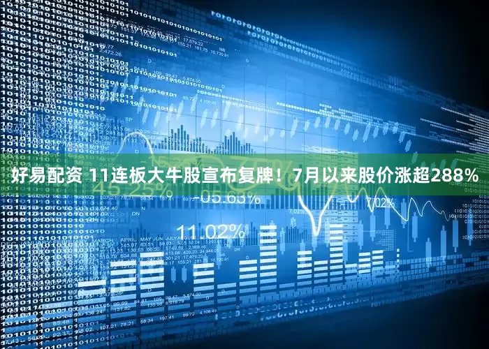 好易配资 11连板大牛股宣布复牌!7月以来股价涨超288%